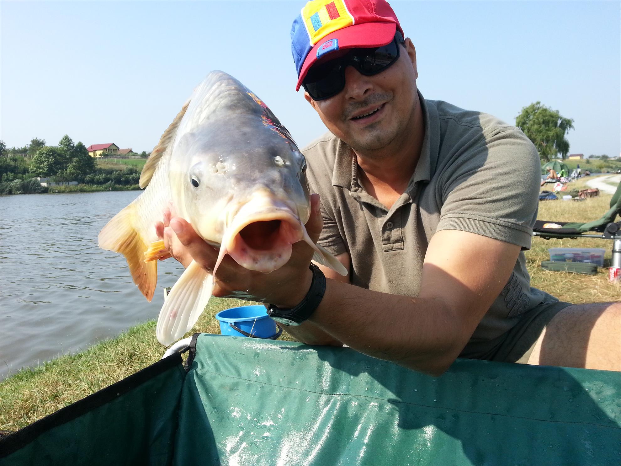 Moara Vlasiei 2 15 august 2014 - 20140815100437.jpg